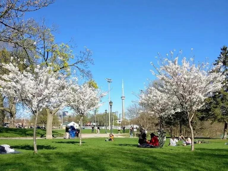 Mins Walk To Trinity Bellwood Park From Your Apartment Downtown Toronto